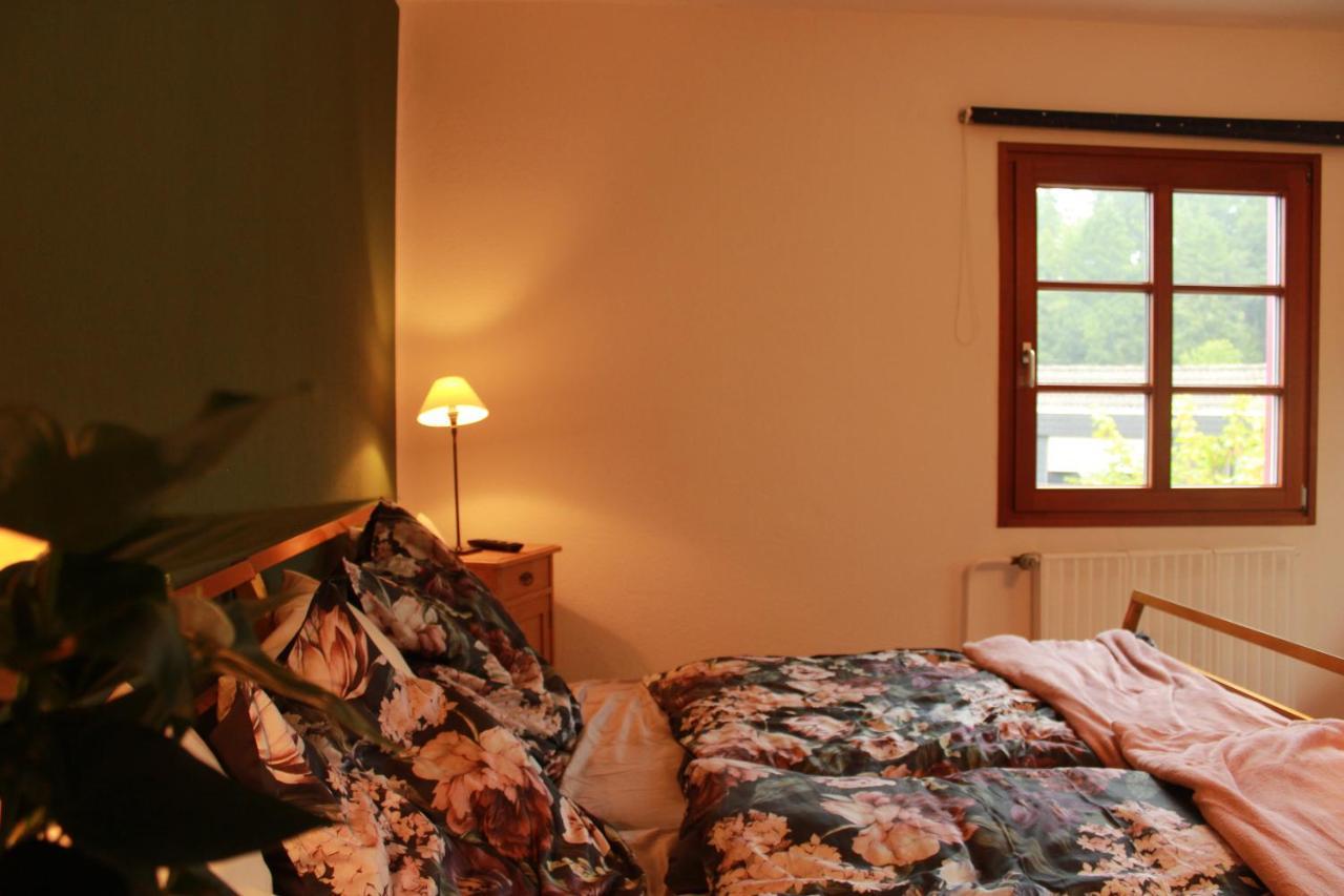 Ferienwohnung Conni Hellenthal Kültér fotó